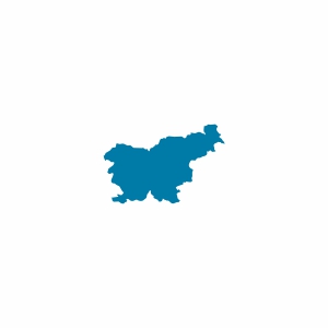 Slovenya Vizesi